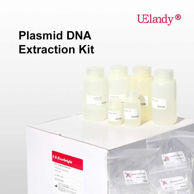 Plasmid DNA Extraction Kit