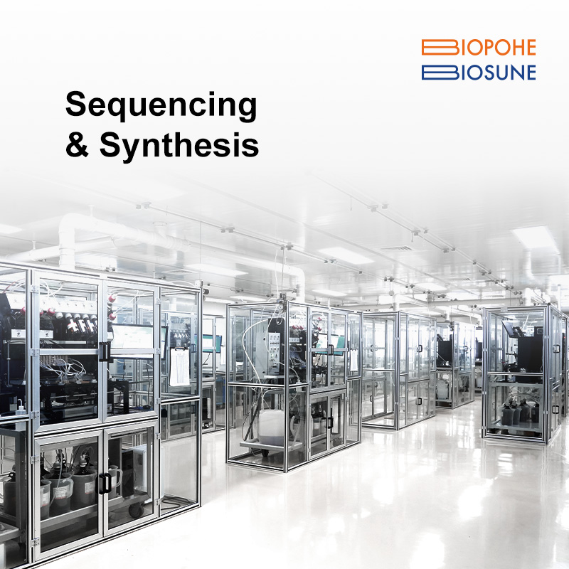 Sequencing & Synthesis