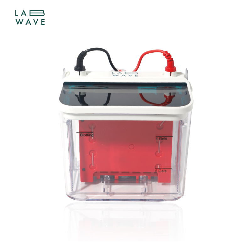 Protein Transfer Printing Cell