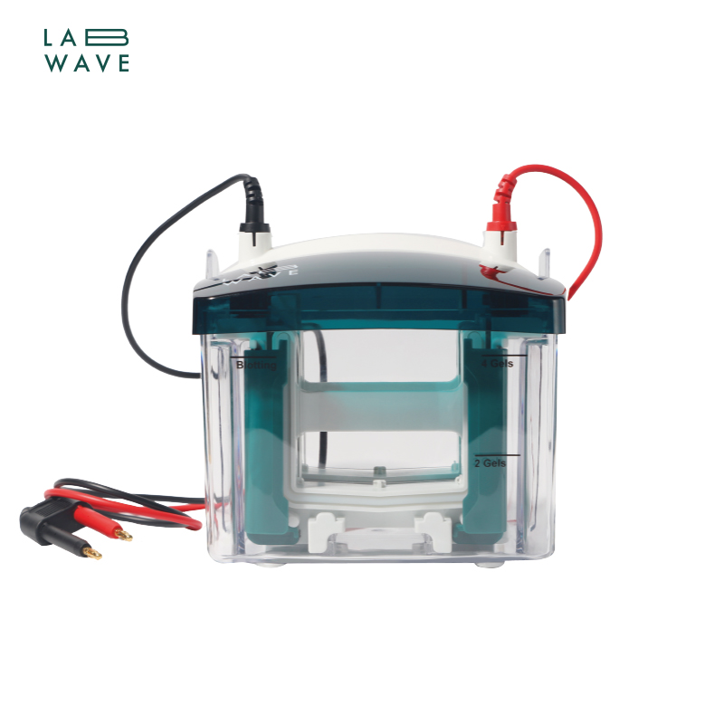 Mini Protein Vertical Electrophoresis Cell