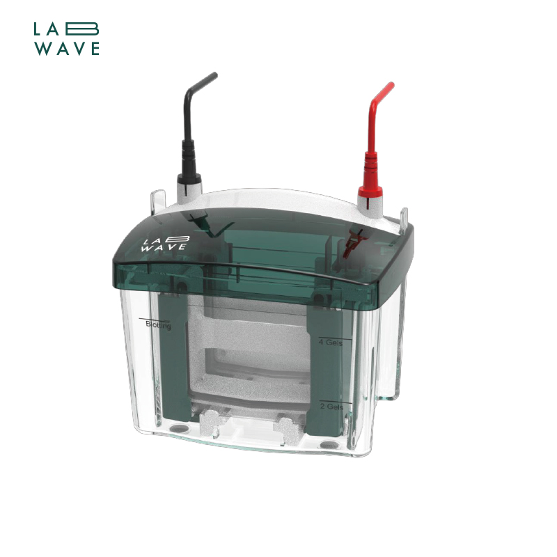 Protein Vertical Electrophoresis Cell