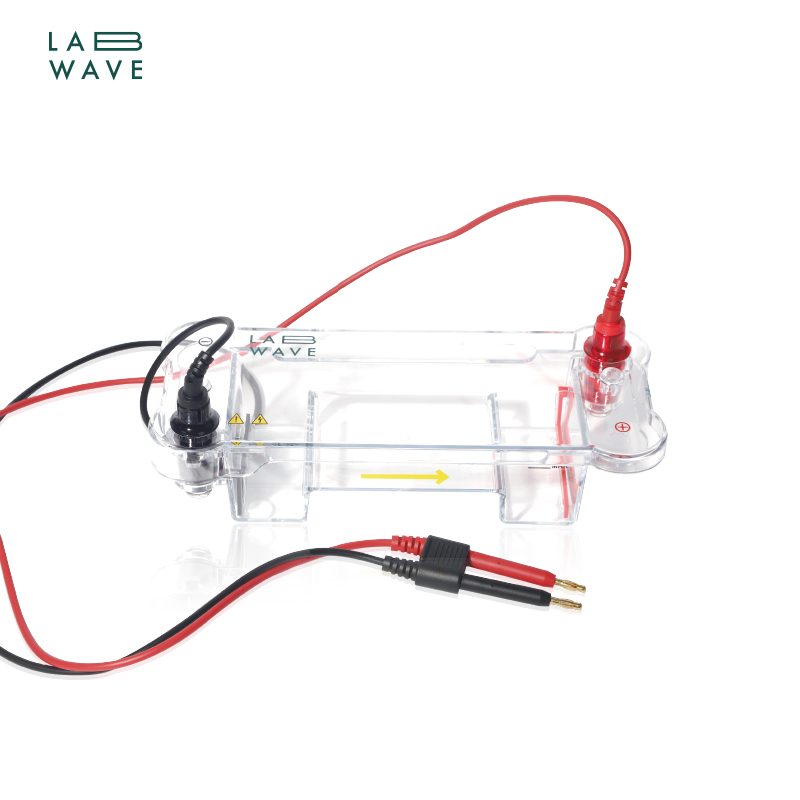 Mini Horizontal Electrophoresis Cell