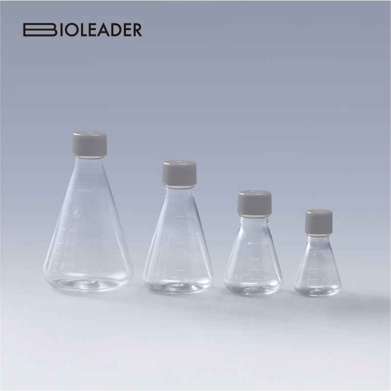 Erlenmeyer Flasks