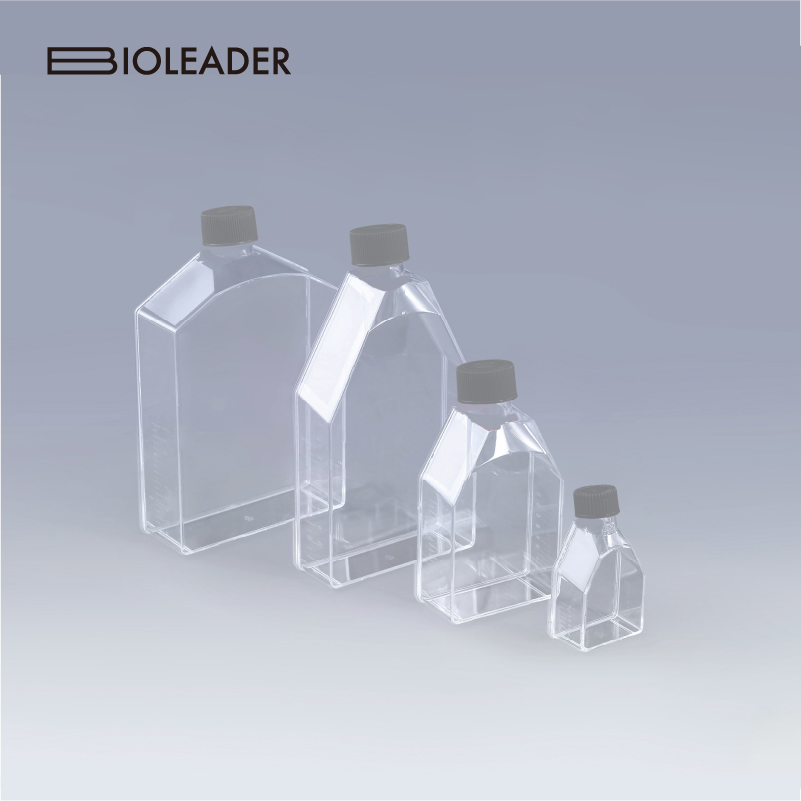 Cell Culture Flasks