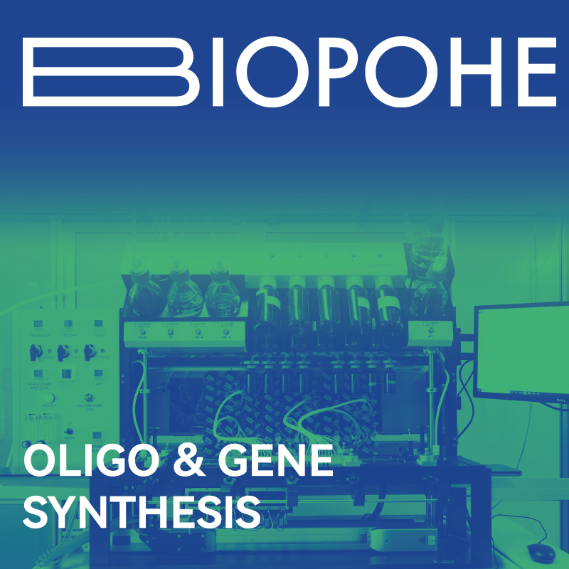 Synthesis