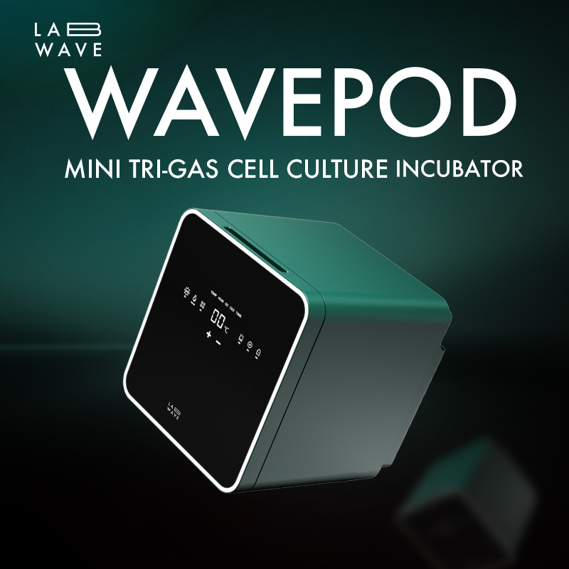 Mini Tri-Gas Cell Culture Incubator