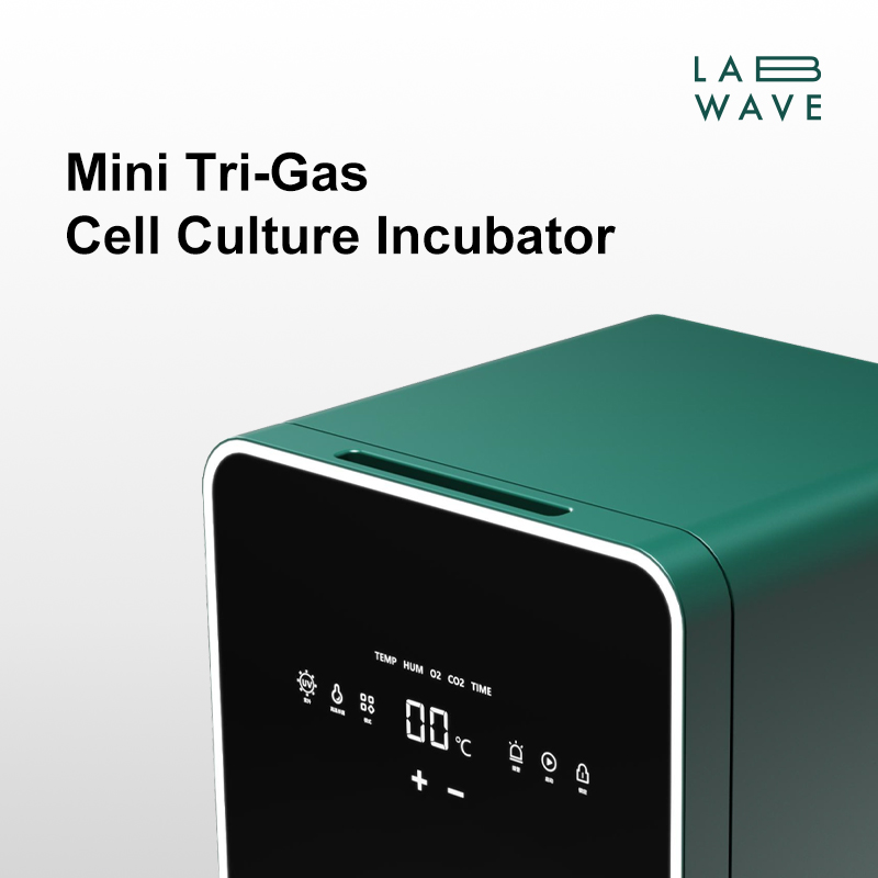 Mini Tri-Gas Cell Culture Incubator